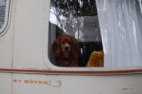 The Beginning of our camper called The Shabby Cabby